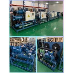 Bitzer screw water cooling refrigerating unit